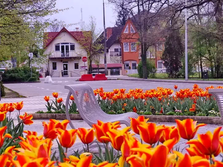 Hajdúszoboszló Cazare | Bungalow (K0178-7) Imaginea poate fi supusă drepturilor de autor. Se recomandă contactarea titularului drepturilor.