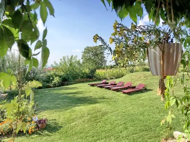 Sasca Montană Cazare | Motel (K1274-36) Imaginea poate fi supusă drepturilor de autor. Se recomandă contactarea titularului drepturilor.