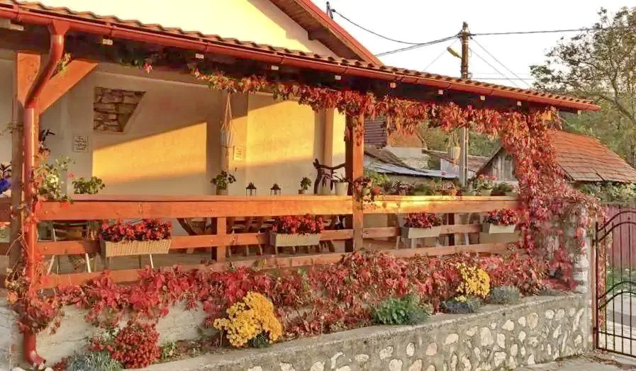 Szászkabánya Szállás | Motel (K1274-37) A kép szerzői jogvédelem alatt állhat. Javasolt a kapcsolatfelvétel a jog tulajdonossal.