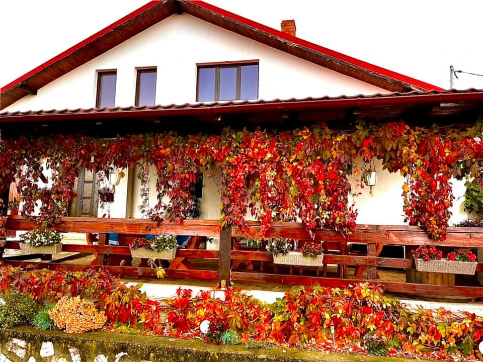 Sasca Montană Cazare | Motel (K1274-58) Imaginea poate fi supusă drepturilor de autor. Se recomandă contactarea titularului drepturilor.