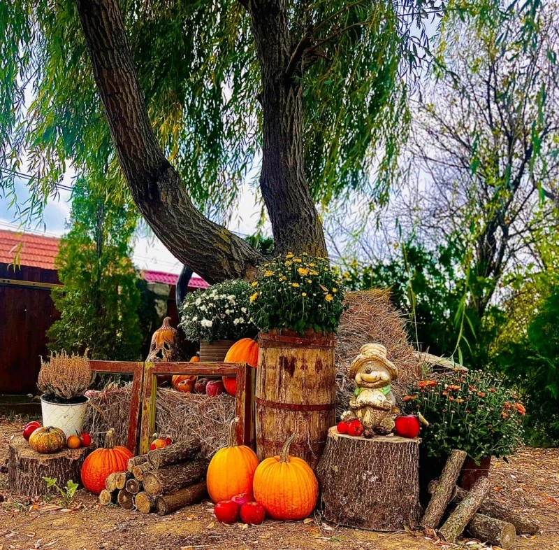 Szászkabánya Szállás | Motel (K1274-60) A kép szerzői jogvédelem alatt állhat. Javasolt a kapcsolatfelvétel a jog tulajdonossal.