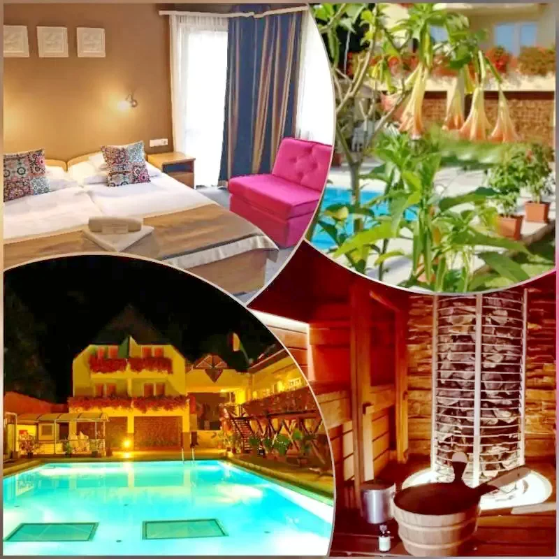 Miskolc Szállás | Turisztikai panzió (K0857-19) A kép szerzői jogvédelem alatt állhat. Javasolt a kapcsolatfelvétel a jog tulajdonossal.