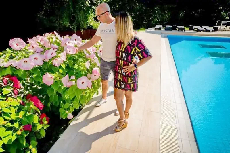 Mișcolț Cazare | Pensiune turistică (K0857-20) Imaginea poate fi supusă drepturilor de autor. Se recomandă contactarea titularului drepturilor.