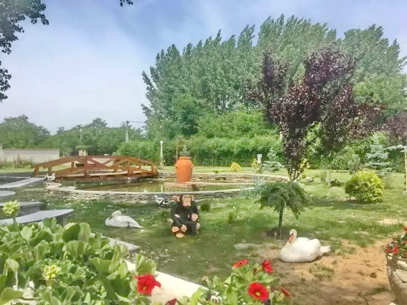  Cazare | Pensiune turistică (K0350-53) Imaginea poate fi supusă drepturilor de autor. Se recomandă contactarea titularului drepturilor.