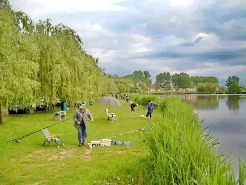  Cazare | Pensiune turistică (K0350-54) Imaginea poate fi supusă drepturilor de autor. Se recomandă contactarea titularului drepturilor.