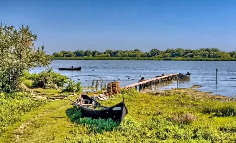 Tulcea Cazare | Motel (K1317-50) Imaginea poate fi supusă drepturilor de autor. Se recomandă contactarea titularului drepturilor.