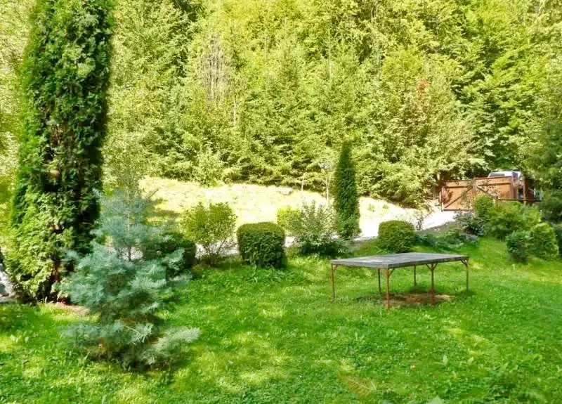Pârâu Satu Mare Cazare | Cabană (K0524-7) Imaginea poate fi supusă drepturilor de autor. Se recomandă contactarea titularului drepturilor.