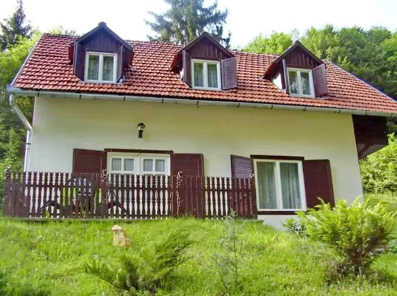 Máréfalvi Patak Szállás | Kulcsosház (K0524-11) A kép szerzői jogvédelem alatt állhat. Javasolt a kapcsolatfelvétel a jog tulajdonossal.