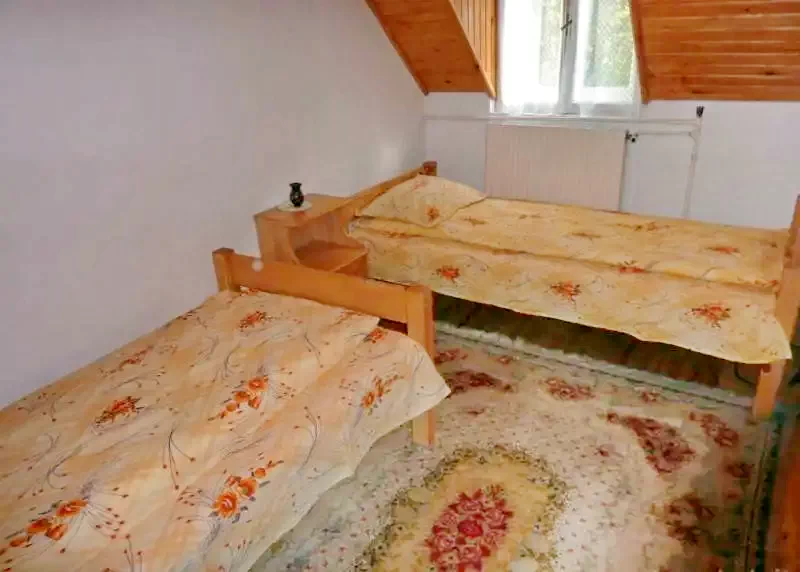 Pârâu Satu Mare Cazare | Cabană (K0524-20) Imaginea poate fi supusă drepturilor de autor. Se recomandă contactarea titularului drepturilor.