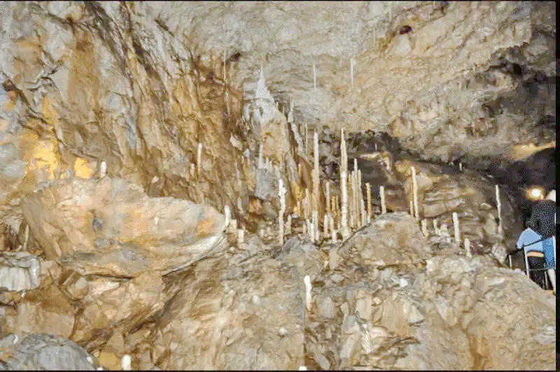 Szállás Chișcău - Pensiunea Anișoara*** | Kiskoh - Anișoara Panzió***. A kép szerzői jogvédelem alatt állhat. Javasolt a kapcsolatfelvétel a jog tulajdonossal.