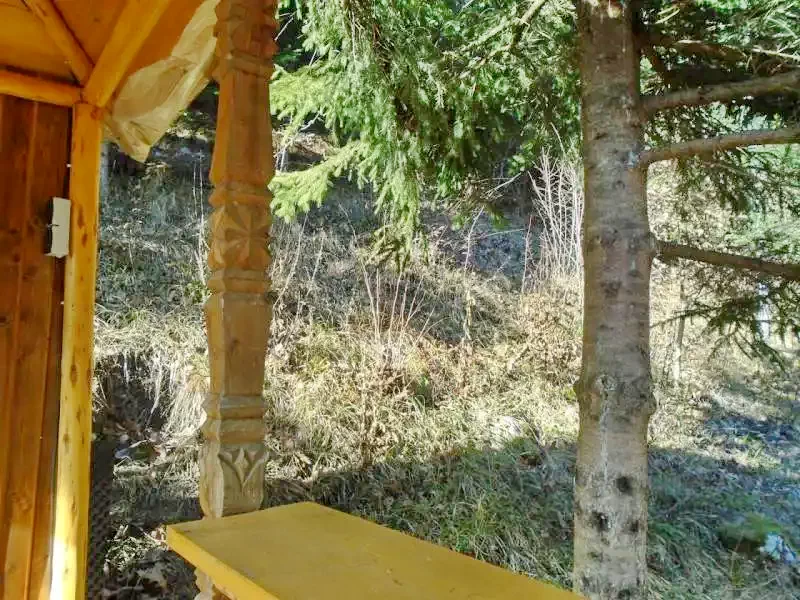 Băile Homorod Cazare | Cabană (K0036-16) Imaginea poate fi supusă drepturilor de autor. Se recomandă contactarea titularului drepturilor.