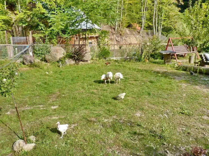 Pârâu Satu Mare Cazare | Cabană (K0731-14) Imaginea poate fi supusă drepturilor de autor. Se recomandă contactarea titularului drepturilor.