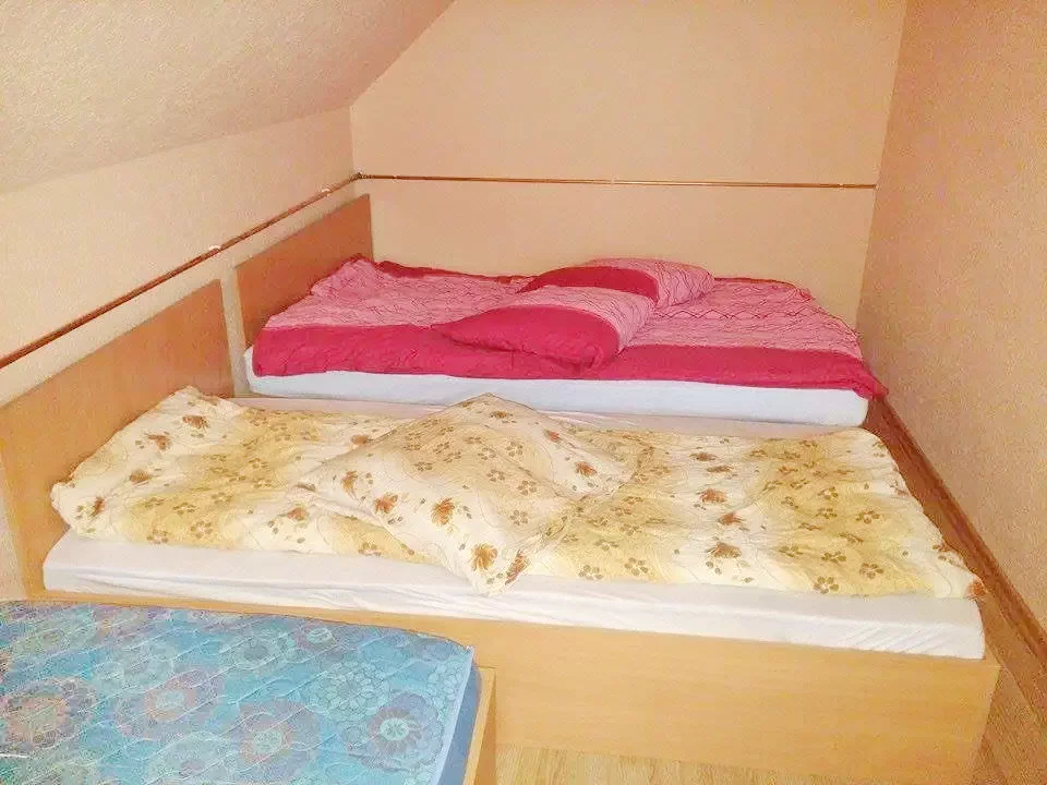 Pasul Bucin Cazare | Pensiune (K0137-14) Imaginea poate fi supusă drepturilor de autor. Se recomandă contactarea titularului drepturilor.