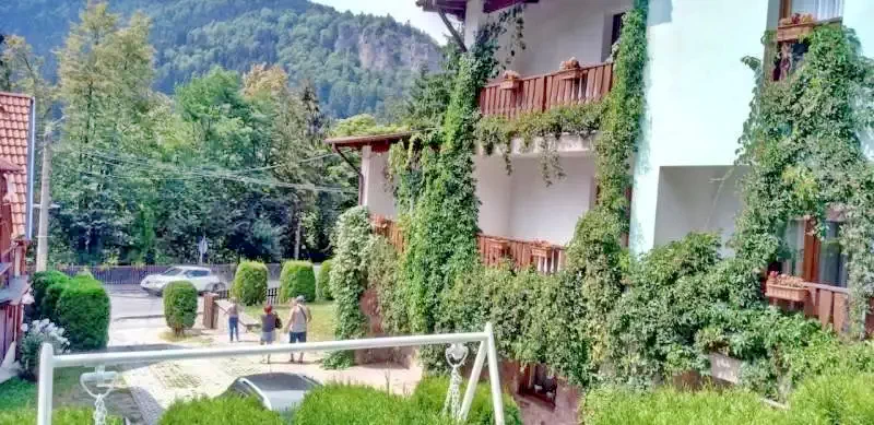 Szállás Băile Tușnad - Pensiunea Olt*** | Tusnádfürdő - Olt Panzió***. A kép szerzői jogvédelem alatt állhat. Javasolt a kapcsolatfelvétel a jog tulajdonossal.
