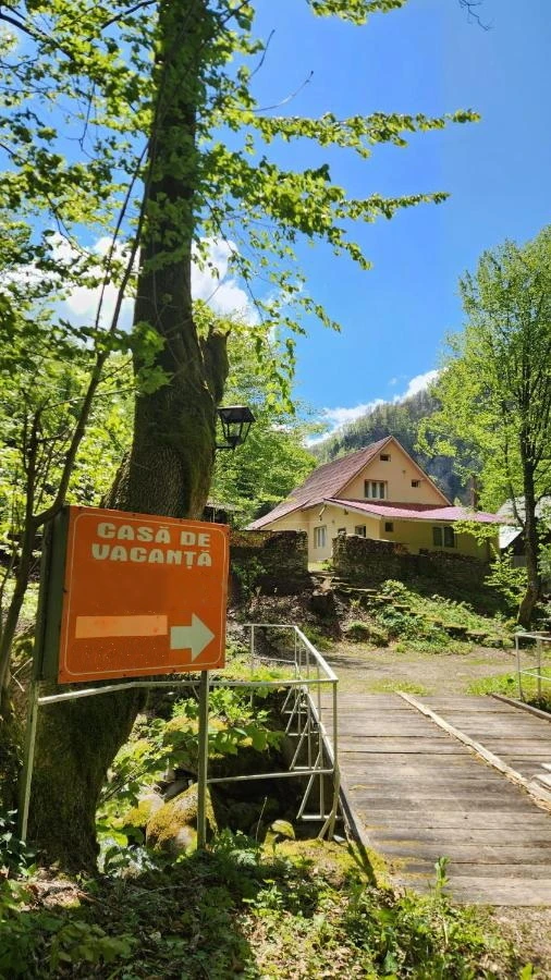 Valea Boga Cazare | Pensiune (K0052-38) Imaginea poate fi supusă drepturilor de autor. Se recomandă contactarea titularului drepturilor.