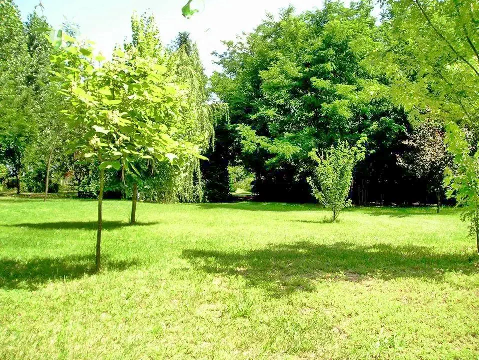 Cazare Kiskunmajsa / Gencsi Tanya. Imaginea poate fi supusă drepturilor de autor. Se recomandă contactarea titularului drepturilor.