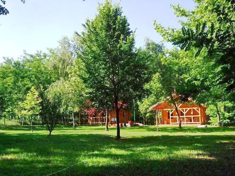  Cazare | Casă de oaspeți (K1059-5) Imaginea poate fi supusă drepturilor de autor. Se recomandă contactarea titularului drepturilor.