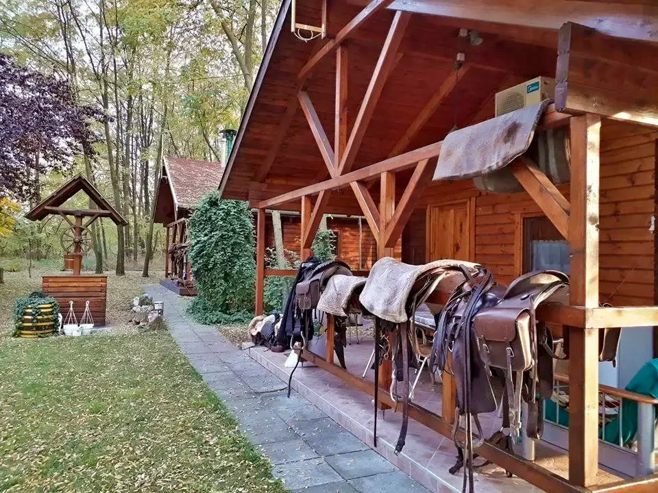Cazare Kiskunmajsa / Gencsi Tanya. Imaginea poate fi supusă drepturilor de autor. Se recomandă contactarea titularului drepturilor.