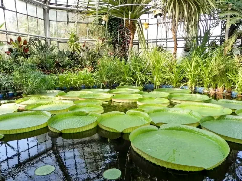 Kolozsvár Szállás | Motel (K1400-49) A kép szerzői jogvédelem alatt állhat. Javasolt a kapcsolatfelvétel a jog tulajdonossal.