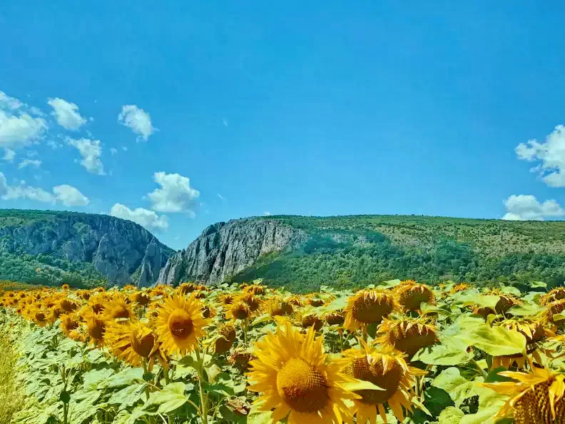 Cluj-Napoca Cazare | Motel (K1400-51) Imaginea poate fi supusă drepturilor de autor. Se recomandă contactarea titularului drepturilor.