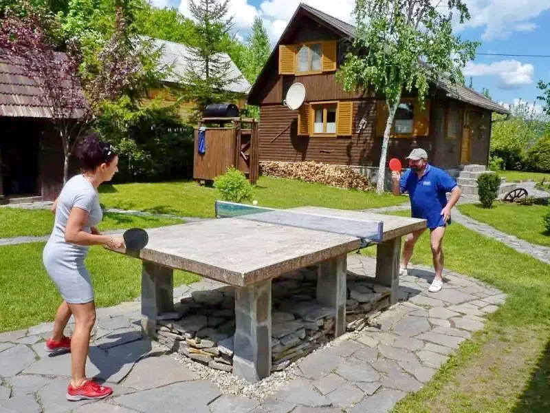 Barajul Zetea Cazare | Cabană (K0486-26) Imaginea poate fi supusă drepturilor de autor. Se recomandă contactarea titularului drepturilor.