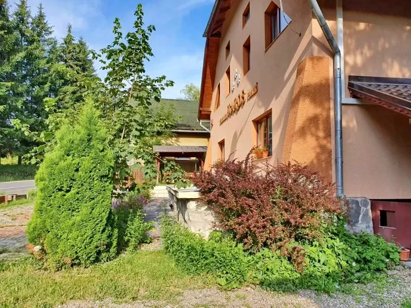 Szállás Izvoru Muresului - Pensiunea Maros*** | Marosfő - Maros Panzió***. A kép szerzői jogvédelem alatt állhat. Javasolt a kapcsolatfelvétel a jog tulajdonossal.