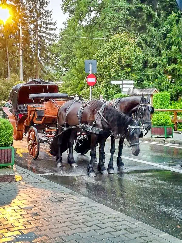 Szállás Sovata - Cabana Anita | Szováta - Anita Kulcsosház. A kép szerzői jogvédelem alatt állhat. Javasolt a kapcsolatfelvétel a jog tulajdonossal.