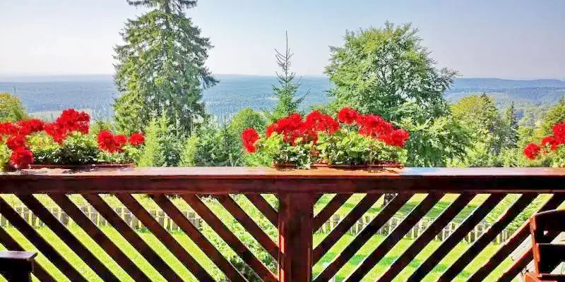 Pasul Bucin Cazare | Căsuțe tip camping (K0613-1) Imaginea poate fi supusă drepturilor de autor. Se recomandă contactarea titularului drepturilor.