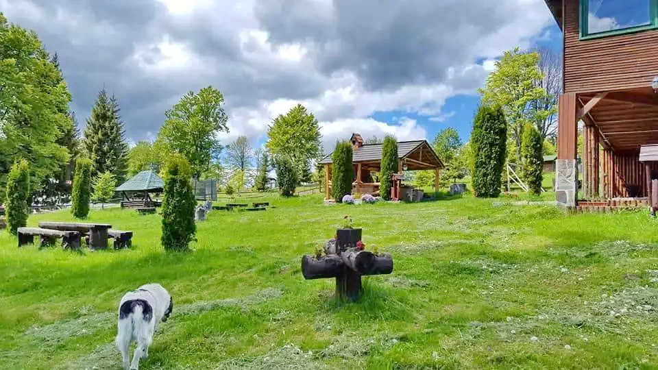 Pasul Bucin Cazare | Han (K0613-21) Imaginea poate fi supusă drepturilor de autor. Se recomandă contactarea titularului drepturilor.