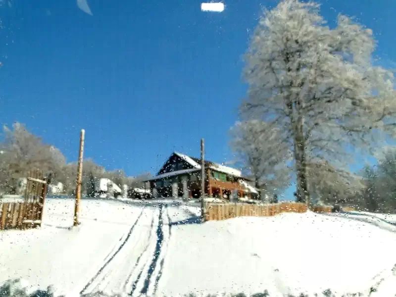 Pasul Bucin Cazare | Căsuțe tip camping (K0613-23) Imaginea poate fi supusă drepturilor de autor. Se recomandă contactarea titularului drepturilor.