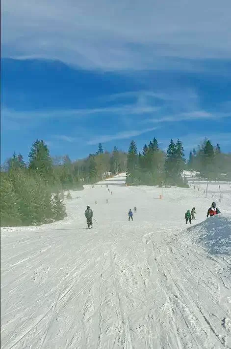 Pasul Bucin Cazare | Căsuțe tip camping (K0613-26) Imaginea poate fi supusă drepturilor de autor. Se recomandă contactarea titularului drepturilor.