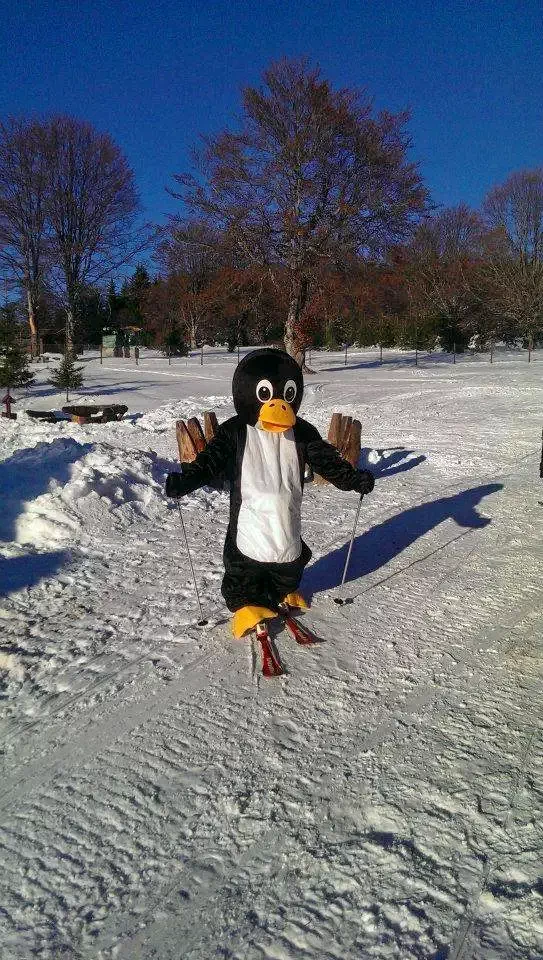 Pasul Bucin Cazare | Căsuțe tip camping (K0613-27) Imaginea poate fi supusă drepturilor de autor. Se recomandă contactarea titularului drepturilor.