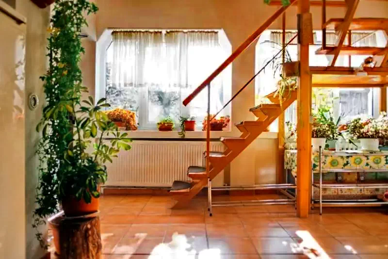 Sinfalva Szállás | Panzió (K0114-6) A kép szerzői jogvédelem alatt állhat. Javasolt a kapcsolatfelvétel a jog tulajdonossal.