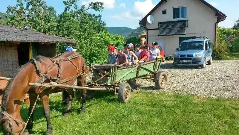 Sinfalva Szállás | Panzió (K0114-28) A kép szerzői jogvédelem alatt állhat. Javasolt a kapcsolatfelvétel a jog tulajdonossal.
