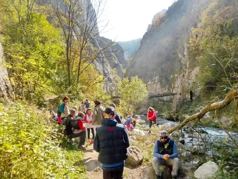 Sinfalva Szállás | Panzió (K0114-30) A kép szerzői jogvédelem alatt állhat. Javasolt a kapcsolatfelvétel a jog tulajdonossal.