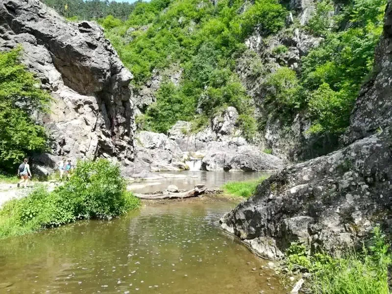 Sinfalva Szállás | Panzió (K0114-36) A kép szerzői jogvédelem alatt állhat. Javasolt a kapcsolatfelvétel a jog tulajdonossal.