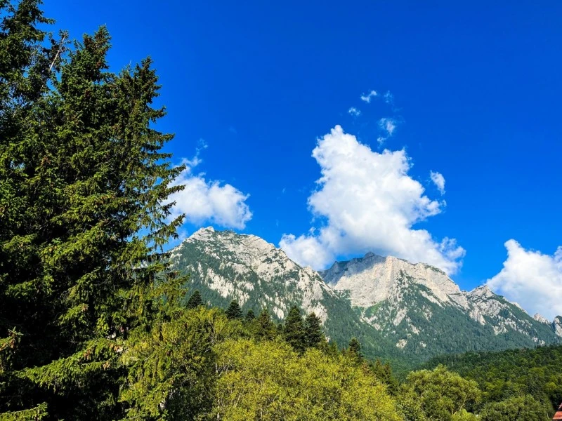 Bușteni Szállás | Panzió (K1565-17) A kép szerzői jogvédelem alatt állhat. Javasolt a kapcsolatfelvétel a jog tulajdonossal.