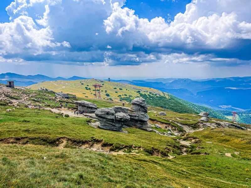 Bușteni Szállás | Panzió (K1565-44) A kép szerzői jogvédelem alatt állhat. Javasolt a kapcsolatfelvétel a jog tulajdonossal.