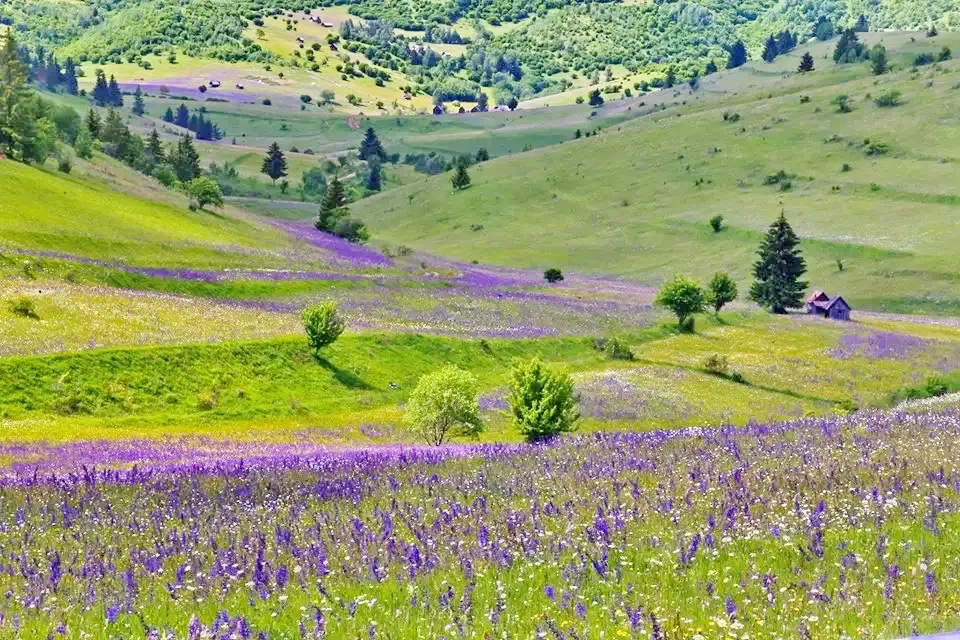 Sândominic Cazare | Pensiune (K1392-72) Imaginea poate fi supusă drepturilor de autor. Se recomandă contactarea titularului drepturilor.