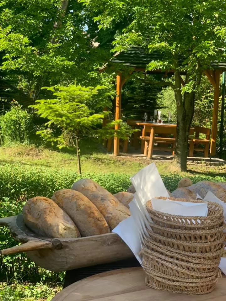 Szállás Sfântu Gheorghe - BEST WESTERN Hotel Park*** | Sepsiszentgyörgy - BEST WESTERN Park Hotel***. A kép szerzői jogvédelem alatt állhat. Javasolt a kapcsolatfelvétel a jog tulajdonossal.