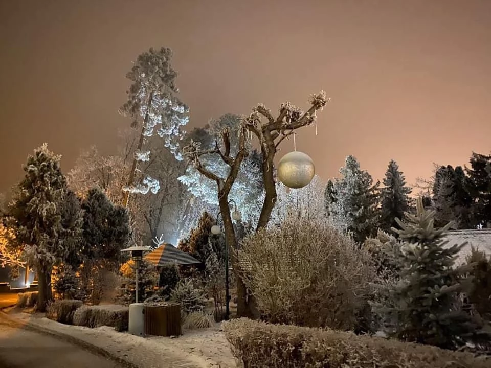 Szállás Sfântu Gheorghe - BEST WESTERN Hotel Park*** | Sepsiszentgyörgy - BEST WESTERN Park Hotel***. A kép szerzői jogvédelem alatt állhat. Javasolt a kapcsolatfelvétel a jog tulajdonossal.