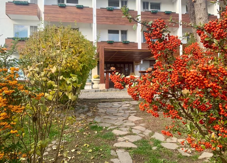 Szállás Sfântu Gheorghe - BEST WESTERN Hotel Park*** | Sepsiszentgyörgy - BEST WESTERN Park Hotel***. A kép szerzői jogvédelem alatt állhat. Javasolt a kapcsolatfelvétel a jog tulajdonossal.