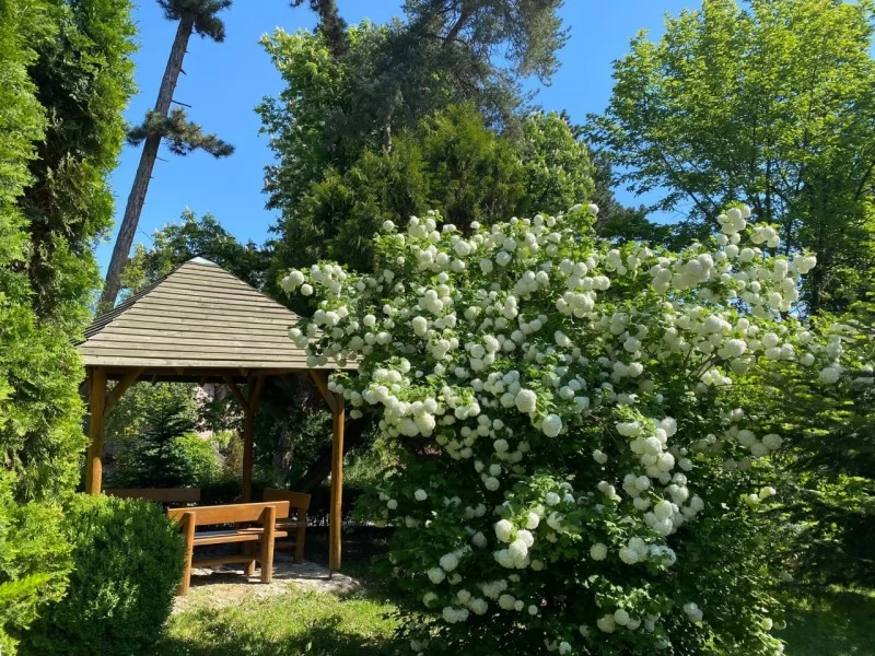 Szállás Sfântu Gheorghe - BEST WESTERN Hotel Park*** | Sepsiszentgyörgy - BEST WESTERN Park Hotel***. A kép szerzői jogvédelem alatt állhat. Javasolt a kapcsolatfelvétel a jog tulajdonossal.