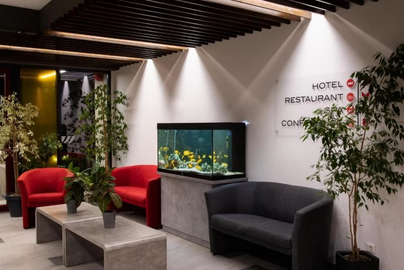 Szállás Praid - Altus Hotel & SPA *** | Parajd - Altus Hotel & SPA ***. A kép szerzői jogvédelem alatt állhat. Javasolt a kapcsolatfelvétel a jog tulajdonossal.