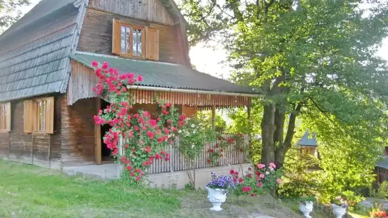 Praid Cazare | Casă de oaspeți (K0313-14) Imaginea poate fi supusă drepturilor de autor. Se recomandă contactarea titularului drepturilor.