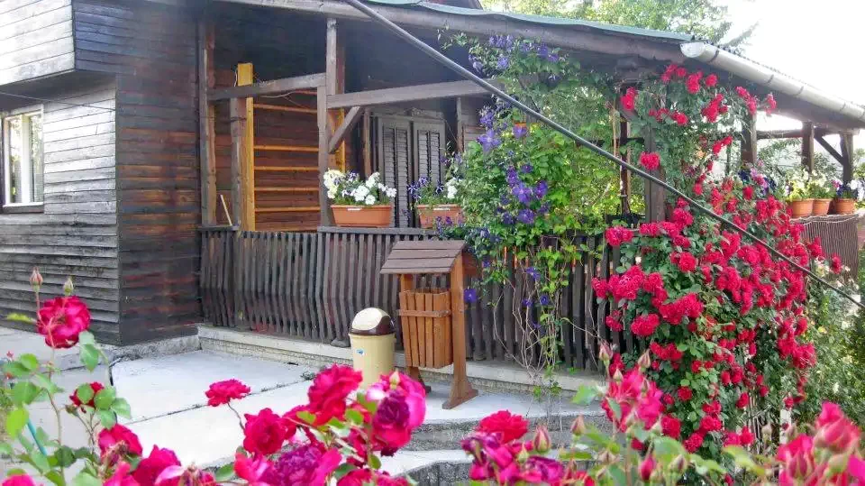 Praid Cazare | Casă de oaspeți (K0313-23) Imaginea poate fi supusă drepturilor de autor. Se recomandă contactarea titularului drepturilor.