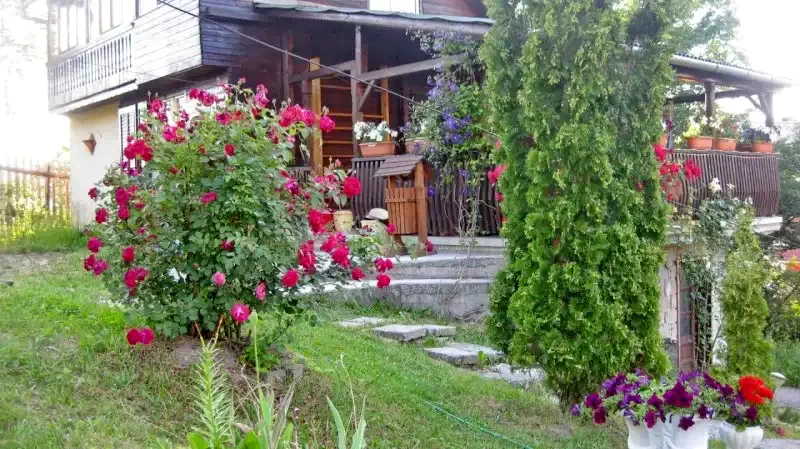 Praid Cazare | Casă de oaspeți (K0313-29) Imaginea poate fi supusă drepturilor de autor. Se recomandă contactarea titularului drepturilor.