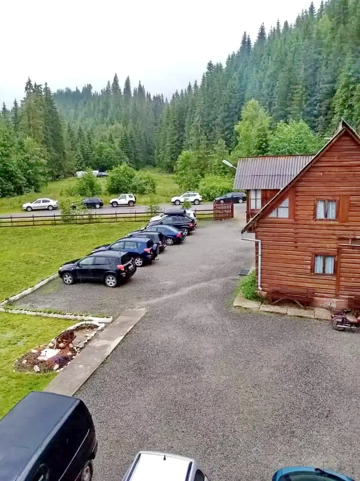 Szállás Ic Ponor Padiș - Vila Ioana | Ic Ponor Pádis - Ioana Villa. A kép szerzői jogvédelem alatt állhat. Javasolt a kapcsolatfelvétel a jog tulajdonossal.