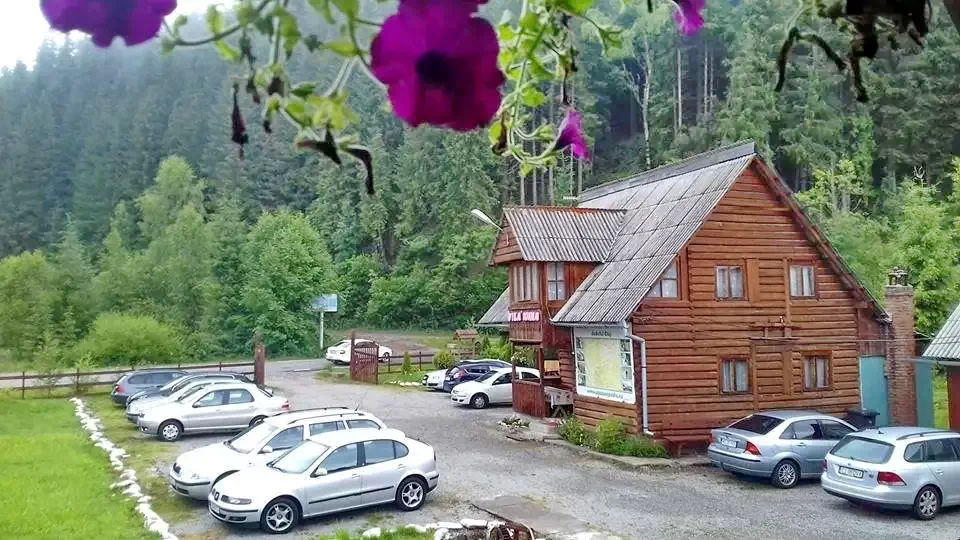 Szállás Ic Ponor Padiș - Vila Ioana | Ic Ponor Pádis - Ioana Villa. A kép szerzői jogvédelem alatt állhat. Javasolt a kapcsolatfelvétel a jog tulajdonossal.