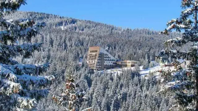 Szállás Băișoara - Hotel Alpin*** | Járabánya - Alpin Hotel***. A kép szerzői jogvédelem alatt állhat. Javasolt a kapcsolatfelvétel a jog tulajdonossal.
